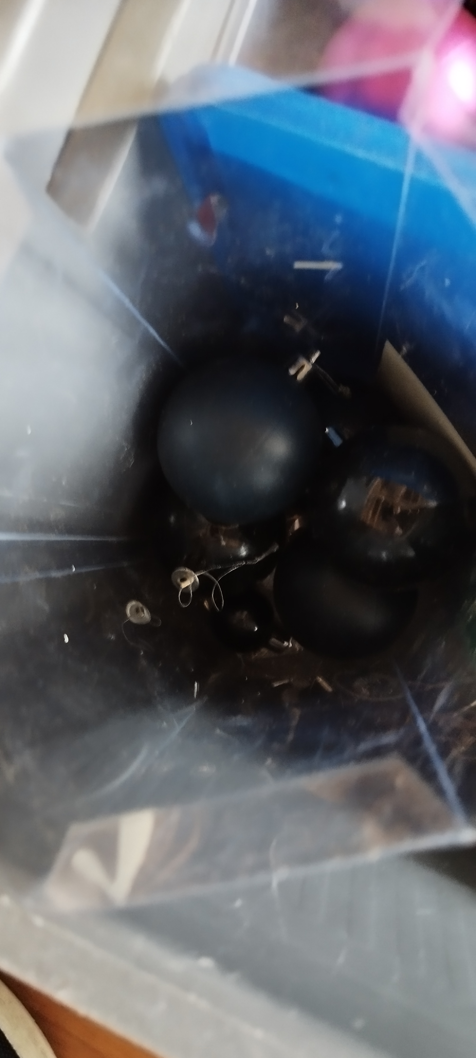 Boule noir