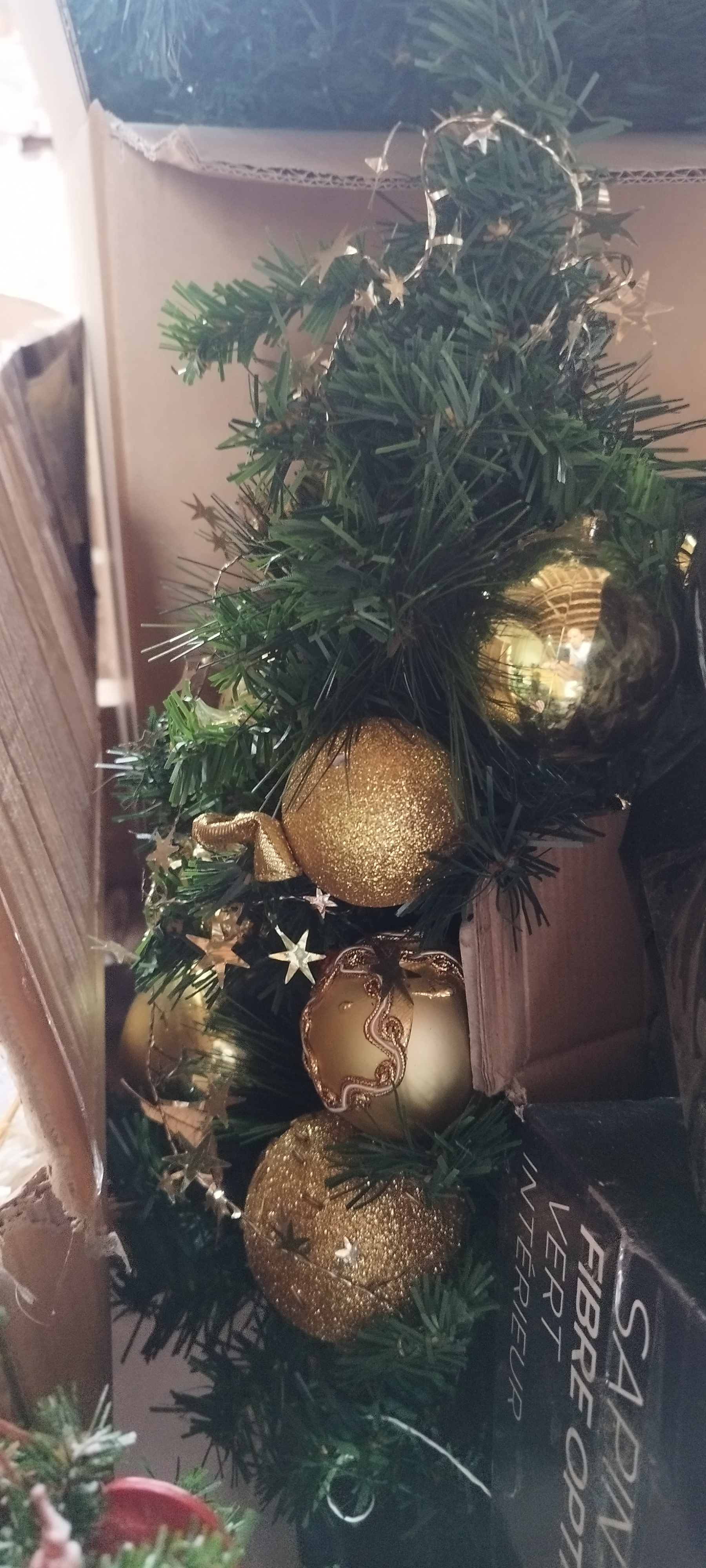 Moyen sapin